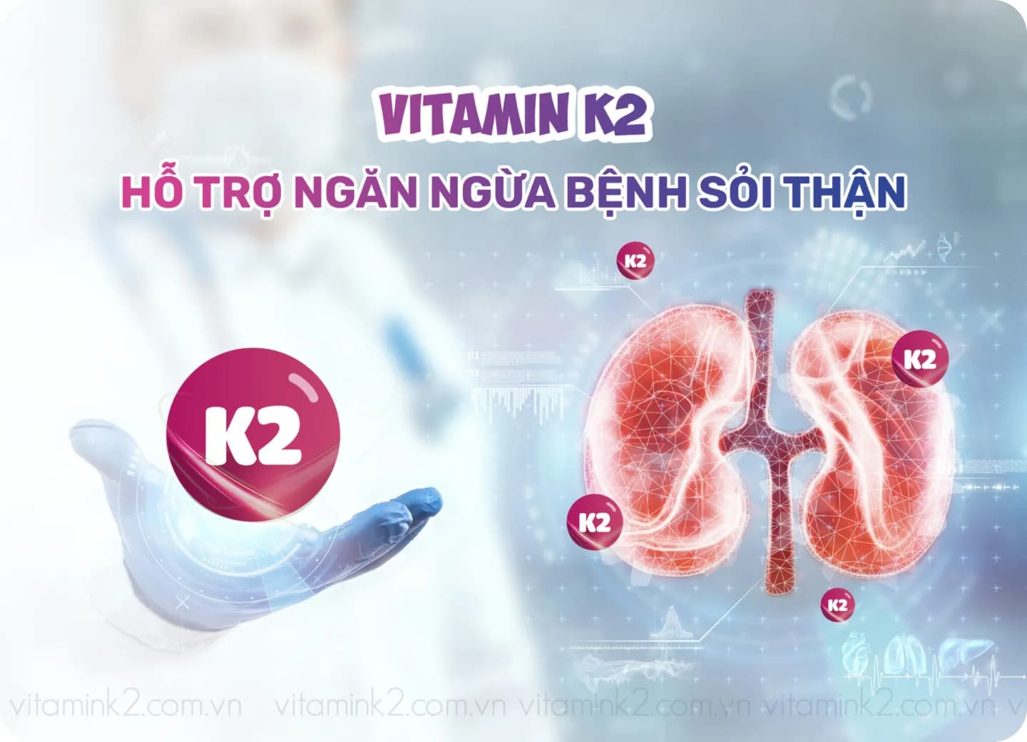 Vitamin K2 hỗ trợ ngăn ngừa bệnh sỏi thận